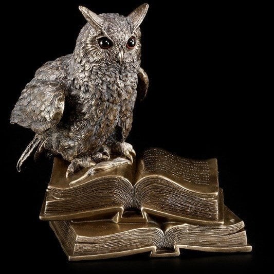 Kitap Üstünde Bronz Baykuş