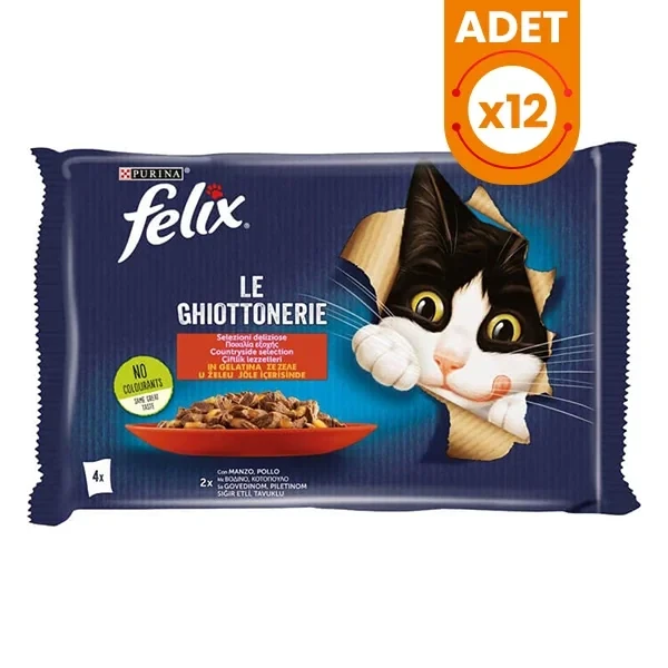 Felix Multipack Sığır ve Tavuklu Yetişkin Yaş Kedi Maması